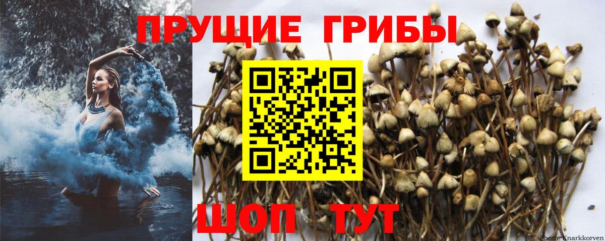 как найти закладки  Галлюциногенные грибы GOLDEN TEACHER  Вход с VPN  Мирный 