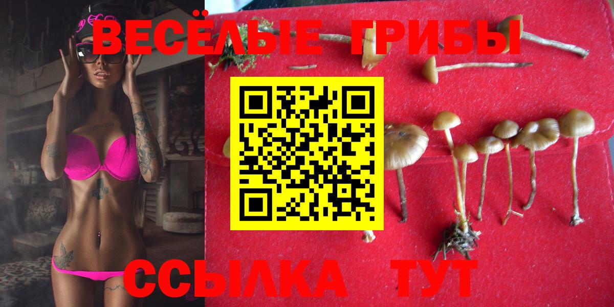 Галлюциногенные грибы мицелий Мирный